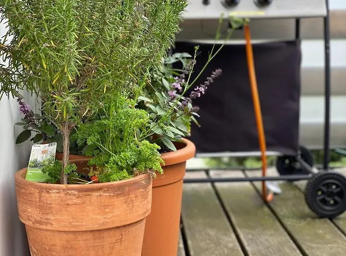 Apartament „lena“ *